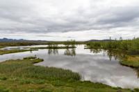 © Copyright Raphael Kessler 2025 – Iceland –  Thringvellir 24