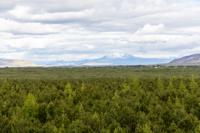 © Copyright Raphael Kessler 2025 – Iceland – Kerid Crater 2