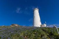 © Copyright Raphael Kessler 2025 – Iceland – Reykjanes 5