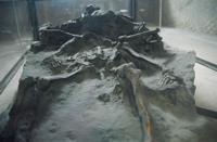 © Copyright - Raphael Kessler 2011 - Italy - Villa bones