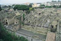 © Copyright Raphael Kessler - Italy - Other Ash