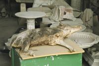 © Copyright - Raphael Kessler 2011 - Italy - Pompeii mummified