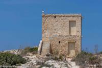 © Copyright Raphael Kessler 2026 – Malta – Cart Ruts – dingli 2