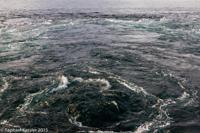 © Raphael Kessler 2015 - Norway - Saltstraumen 10