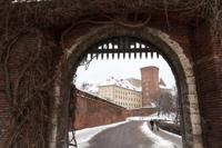 © Copyright - Raphael Kessler 2013 - Poland - Krakow - Castle portcullis