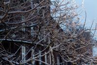 © Copyright - Raphael Kessler 2013 - Poland - Krakow - Castle