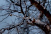 © Copyright - Raphael Kessler 2013 - Poland - Krakow - Castle