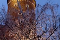 © Copyright - Raphael Kessler 2013 - Poland - Krakow - Castle