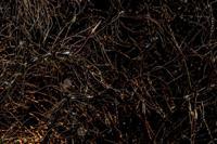 © Copyright - Raphael Kessler 2013 - Poland - Krakow - Castle