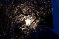 © Copyright - Raphael Kessler 2013 - Poland - Krakow - Castle