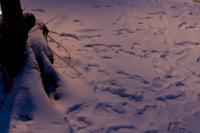 © Copyright - Raphael Kessler 2013 - Poland - Krakow - Castle