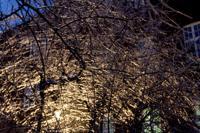 © Copyright - Raphael Kessler 2013 - Poland - Krakow - Castle