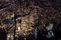 © Copyright - Raphael Kessler 2013 - Poland - Krakow - Castle