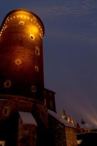 © Copyright - Raphael Kessler 2013 - Poland - Krakow - Castle