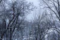 © Copyright - Raphael Kessler 2013 - Poland - Krakow - Castle