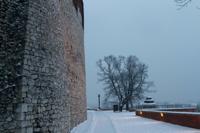 © Copyright - Raphael Kessler 2013 - Poland - Krakow - Castle