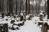 © Copyright - Raphael Kessler 2013 - Poland - Krakow - Jewish Cemetary