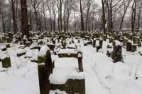 © Copyright - Raphael Kessler 2013 - Poland - Krakow - Jewish Cemetary