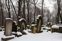 © Copyright - Raphael Kessler 2013 - Poland - Krakow - Jewish Cemetary
