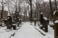 © Copyright - Raphael Kessler 2013 - Poland - Krakow - Jewish Cemetary