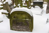 © Copyright - Raphael Kessler 2013 - Poland - Krakow - Jewish Cemetary