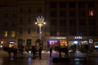 © Copyright - Raphael Kessler 2013 - Poland - Krakow - Rynek Horses