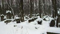 © Copyright Raphael Kessler - Poland - Warsaw Jewish Cemetery