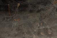 © Copyright - Raphael Kessler 2013 - Poland - Wieliczka - Methane removers with fire sticks