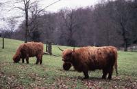 © Copyright Raphael Kessler - Scotland - Angus