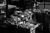 © Copyright Raphael Kessler 2012 - Italy - Sicily - Catania fish market