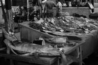 © Copyright Raphael Kessler 2012 - Italy - Sicily - Catania fish market