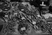 © Copyright Raphael Kessler 2012 - Italy - Sicily - Catania fish market