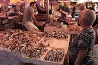 © Copyright Raphael Kessler 2012 - Italy - Sicily - Catania fish market
