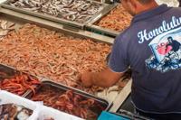 © Copyright Raphael Kessler 2012 - Italy - Sicily - Catania fish market