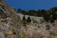 © Copyright Raphael Kessler 2012 - Italy - Sicily - Cefalu