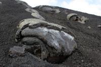 © Copyright Raphael Kessler 2012 - Italy - Sicily - Etna -