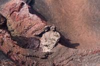 © Copyright Raphael Kessler 2012 - Italy - Sicily - Etna - Dancers