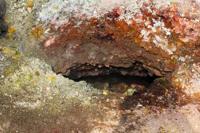 © Copyright Raphael Kessler 2012 - Italy - Sicily - Etna - Venting hole