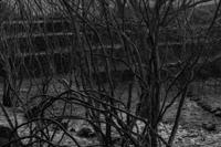 © Copyright Raphael Kessler 2012 - Italy - Sicily - Etna