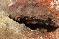 © Copyright Raphael Kessler 2012 - Italy - Sicily - Etna - Venting hole