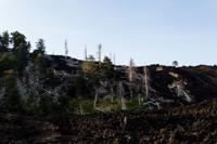 © Copyright Raphael Kessler 2012 - Italy - Sicily - Etna - North side