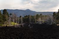© Copyright Raphael Kessler 2012 - Italy - Sicily - Etna - North side