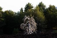 © Copyright Raphael Kessler 2012 - Italy - Sicily - Etna - North side