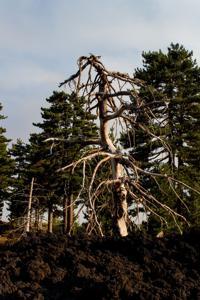 © Copyright Raphael Kessler 2012 - Italy - Sicily - Etna - North side