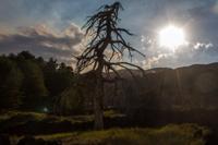 © Copyright Raphael Kessler 2012 - Italy - Sicily - Etna - North side