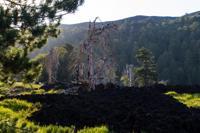 © Copyright Raphael Kessler 2012 - Italy - Sicily - Etna - North side