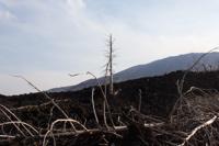 © Copyright Raphael Kessler 2012 - Italy - Sicily - Etna - North side