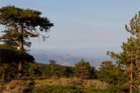 © Copyright Raphael Kessler 2012 - Italy - Sicily - Etna - North side