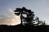 © Copyright Raphael Kessler 2012 - Italy - Sicily - Etna - North side