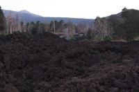 © Copyright Raphael Kessler 2012 - Italy - Sicily - Etna - North side
